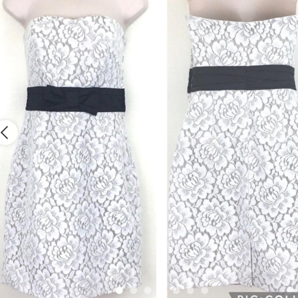 H&M Holiday Lace Dress